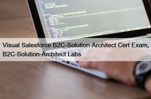 Visual Salesforce B2C-Solution-Architect Cert Exam, B2C-Solution-Architect Labs